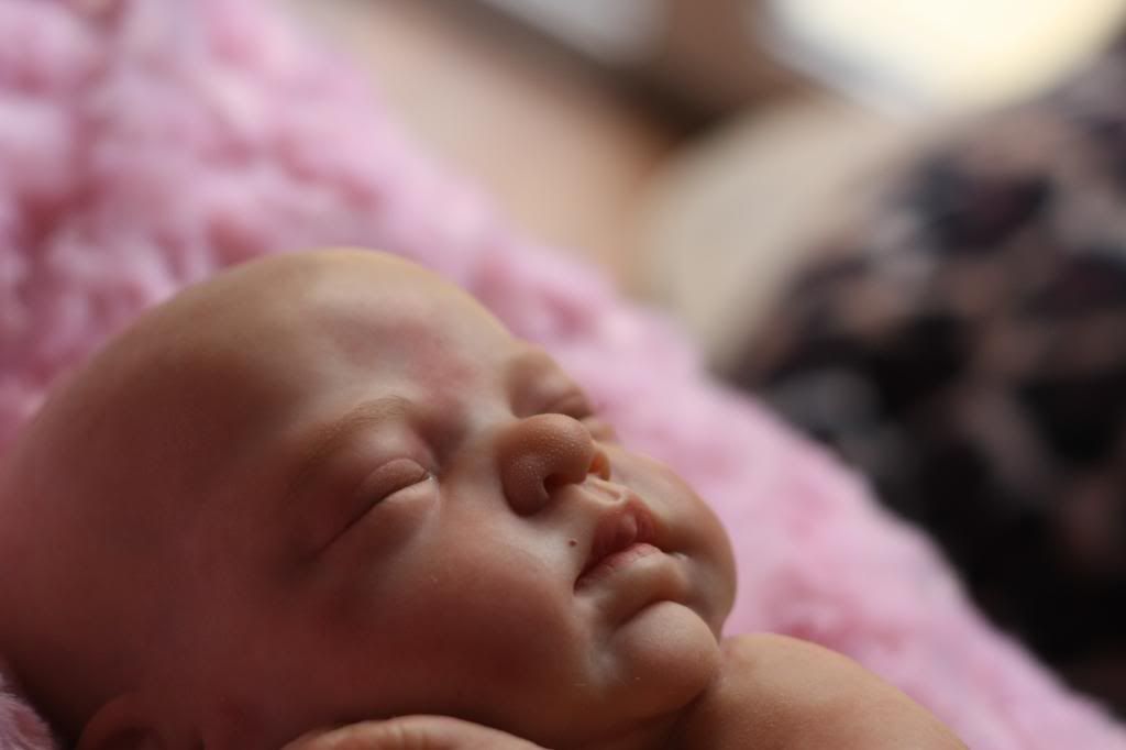 denise farmer reborn dolls